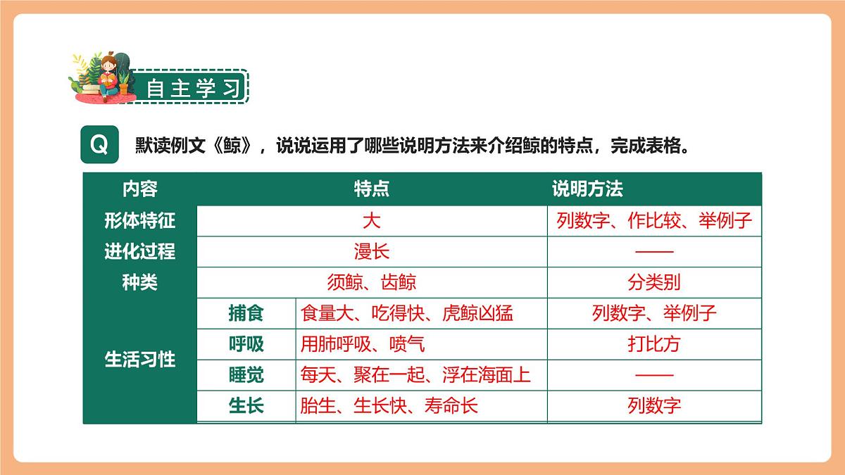 习作例文  课件第4页