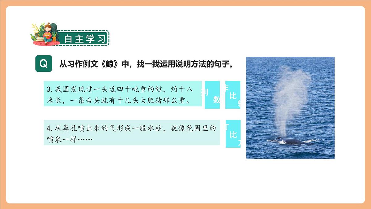 习作例文  课件第6页