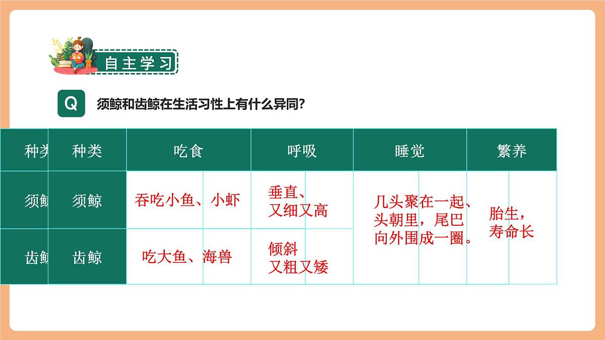 习作例文  课件第7页