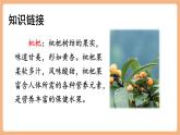 【新課標(biāo)核心素養(yǎng)】部編版語文五年級上冊19父愛之舟（第1課時）（課件+教學(xué)設(shè)計+音頻+學(xué)習(xí)任務(wù)單+練習(xí)）