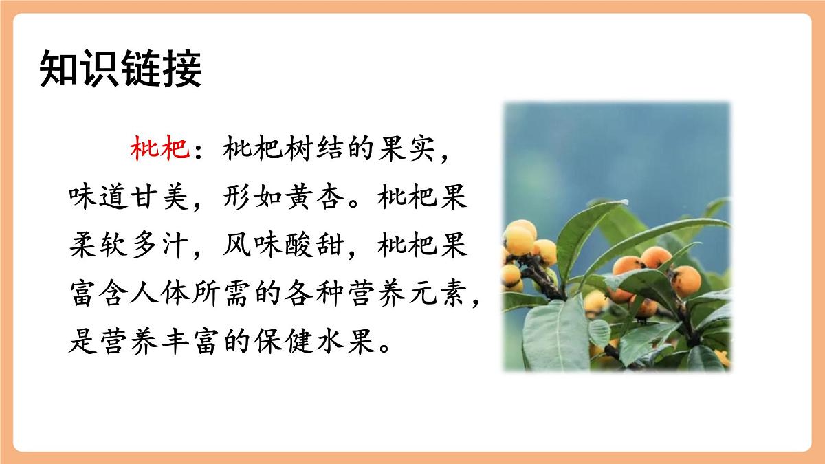 19 父爱之舟  第一课时课件第5页