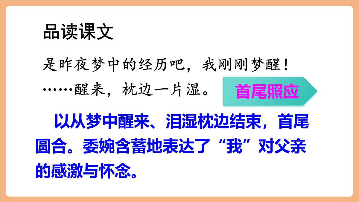 19 父爱之舟  第二课时课件第6页