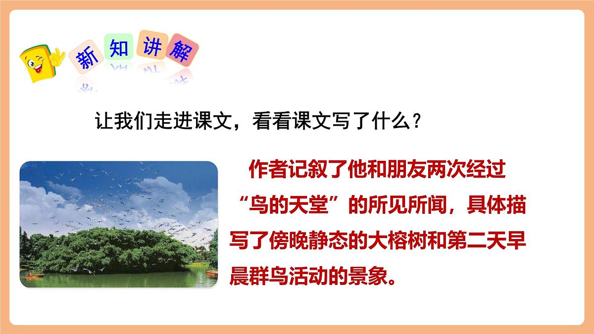 22 鸟的天堂   第二课时课件第5页