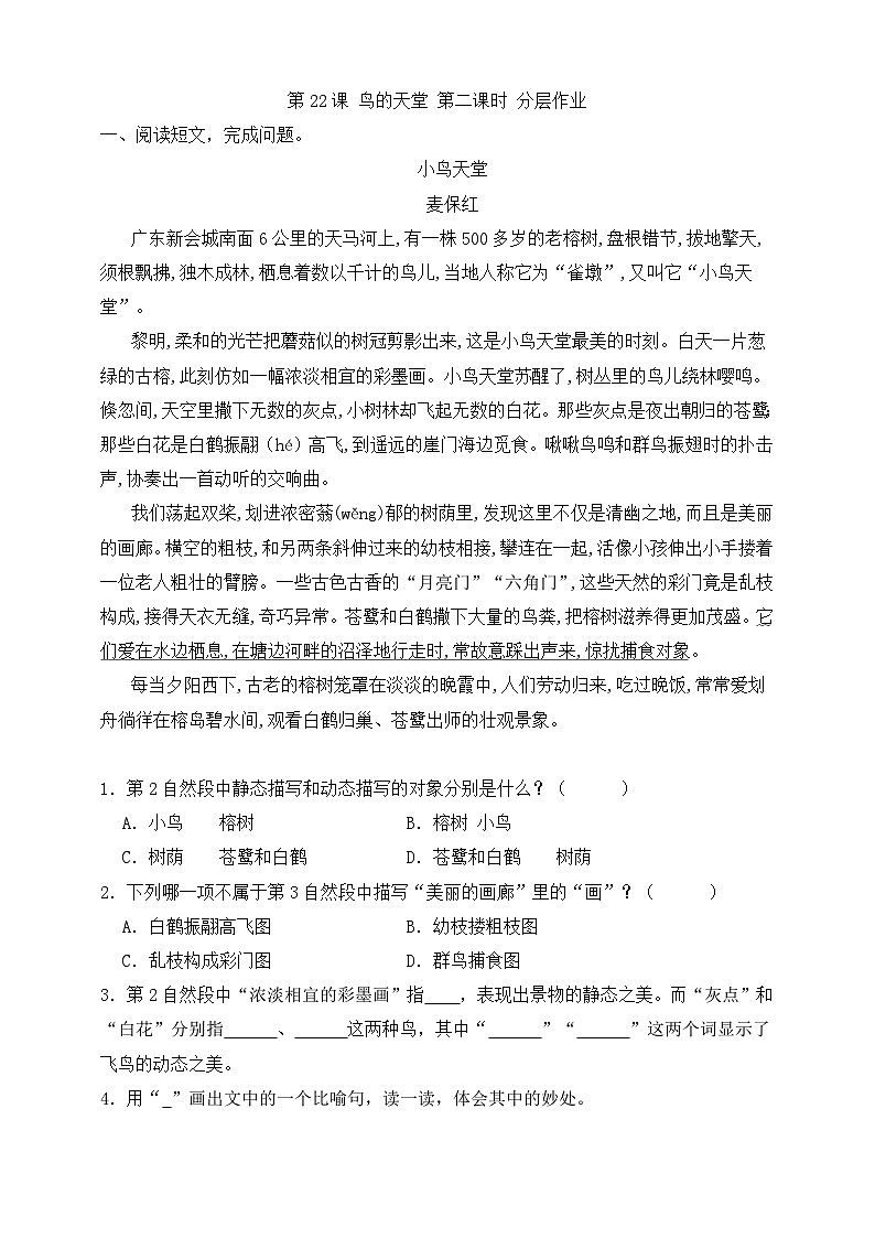22 鸟的天堂  第二课时分层练习第1页