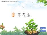 部編版小學(xué)語文五年級上冊第一單元2《落花生》課件（2課時）+教案（2課時）+課文朗讀（音頻）