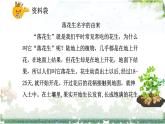 部編版小學(xué)語文五年級上冊第一單元2《落花生》課件（2課時）+教案（2課時）+課文朗讀（音頻）
