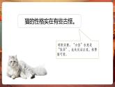 【核心素養(yǎng)優(yōu)質課】部編版語文四下第四單元+語文園地四+同步課件+教案