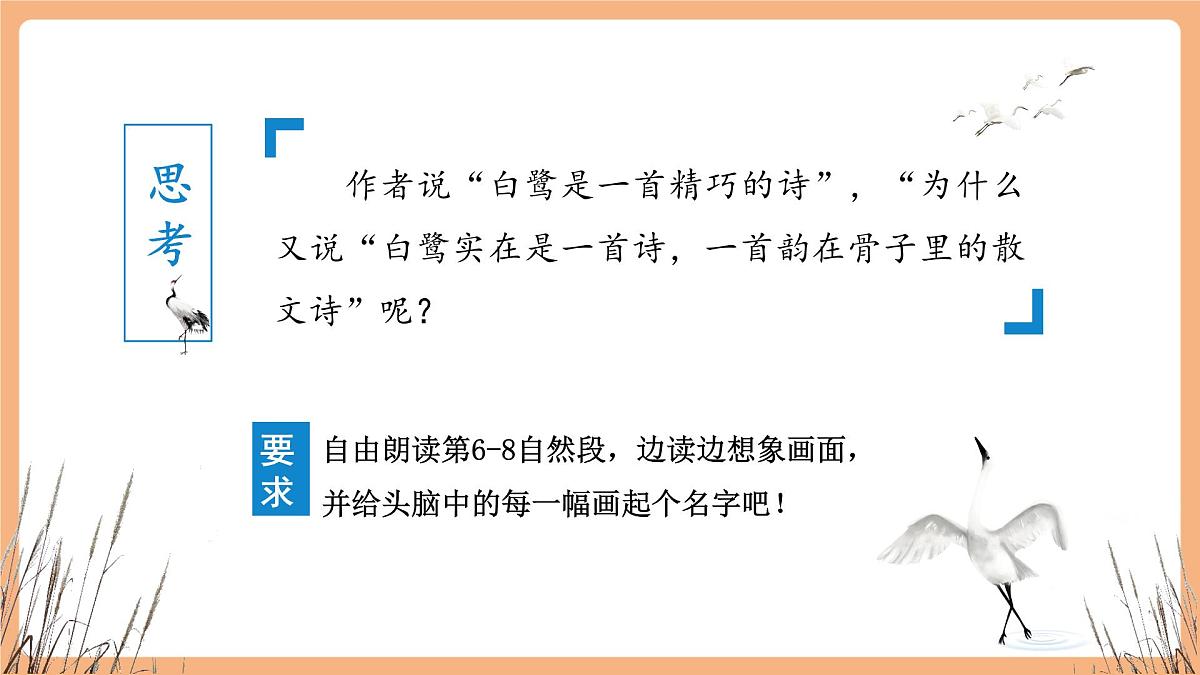 部编版五年级上册1.白鹭第2课时第3页