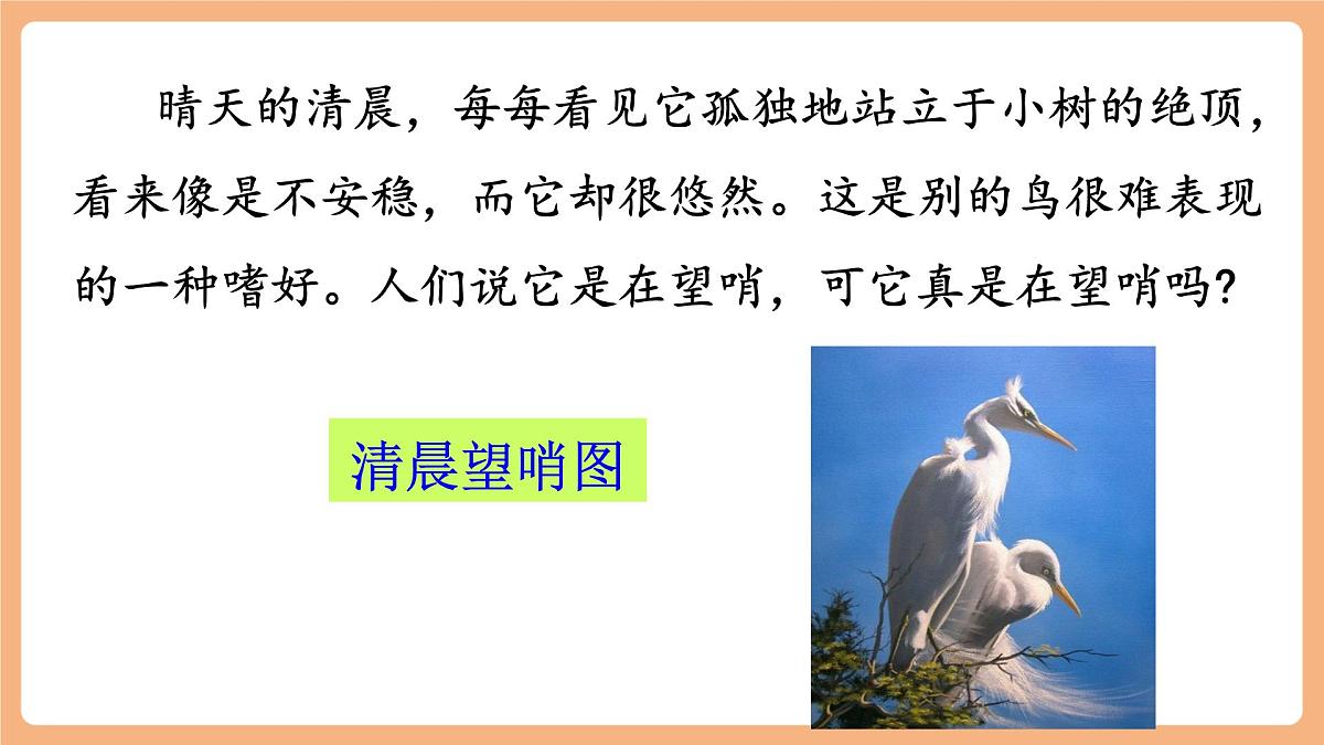 部编版五年级上册1.白鹭第2课时第5页