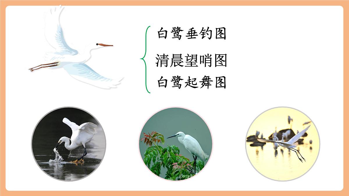 部编版五年级上册1.白鹭第2课时第7页