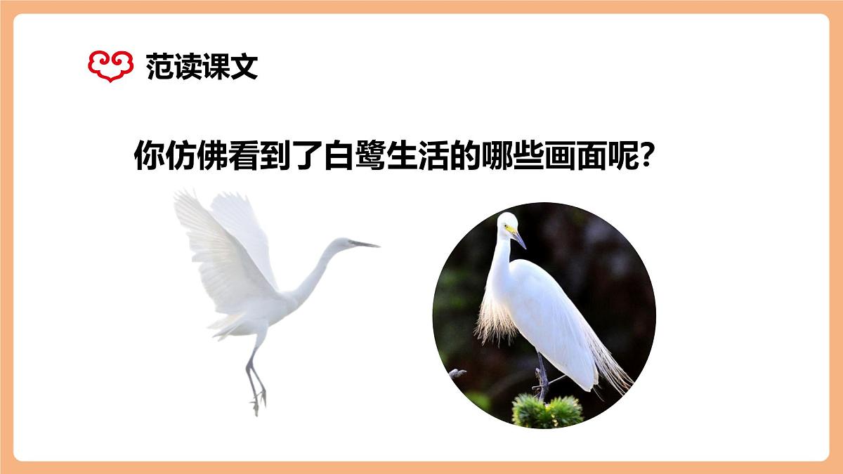 部编版五年级上册1.白鹭第2课时第8页