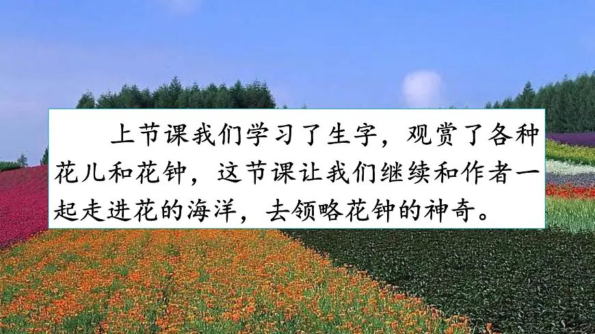 统编版（2024）三年级语文下册13花钟第2课时课件第2页