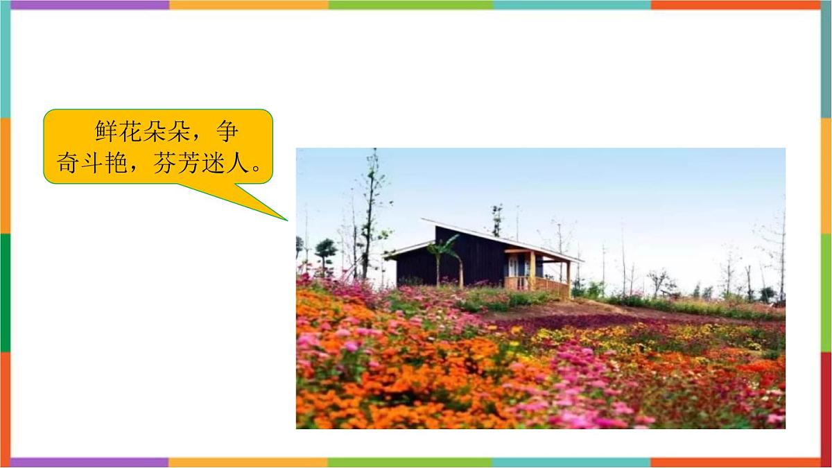 统编版（2024）三年级语文下册13花钟课件第3页