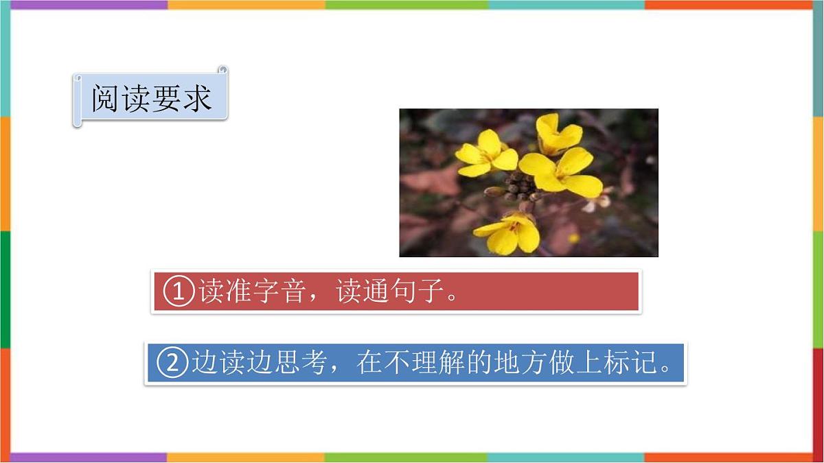 统编版（2024）三年级语文下册13花钟课件第4页