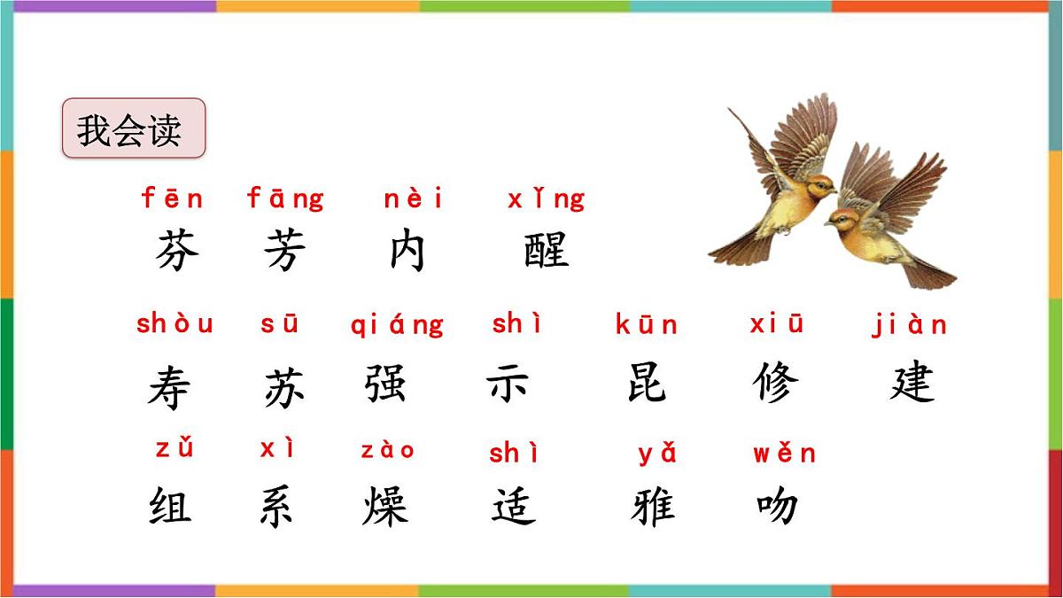 统编版（2024）三年级语文下册13花钟课件第5页