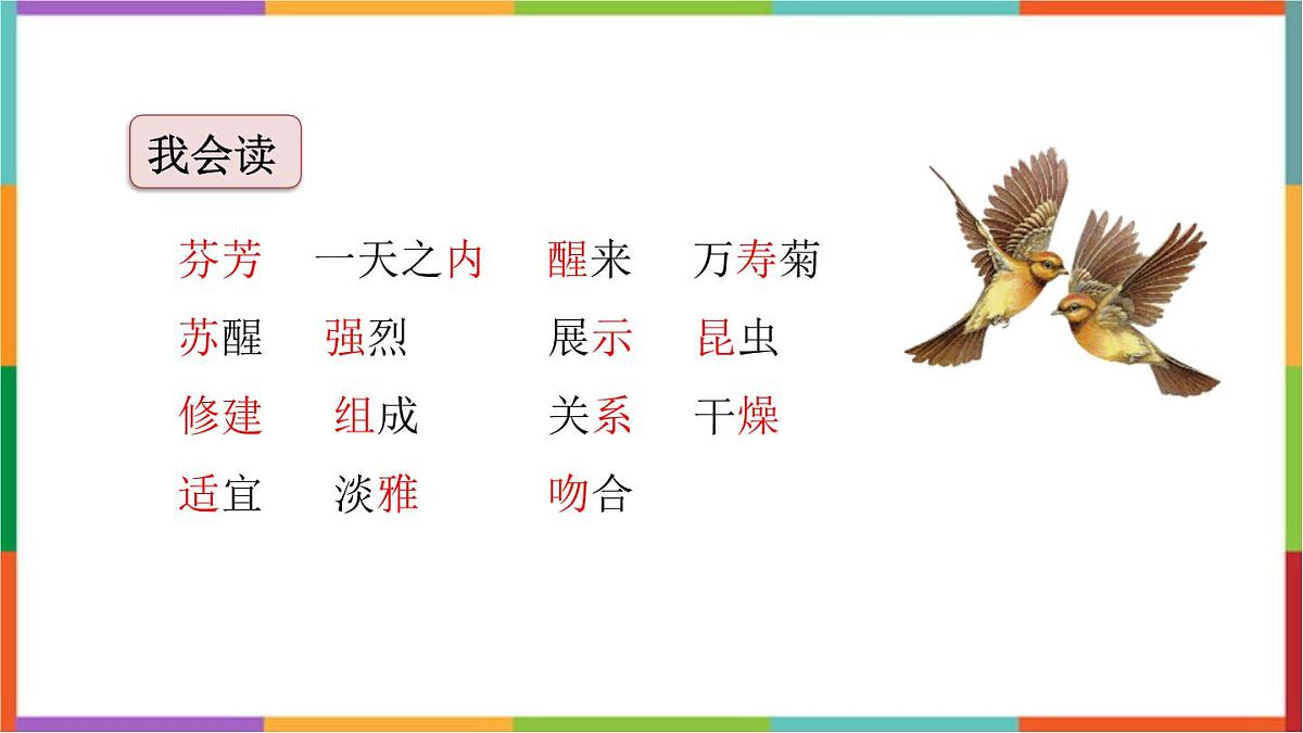 统编版（2024）三年级语文下册13花钟课件第7页