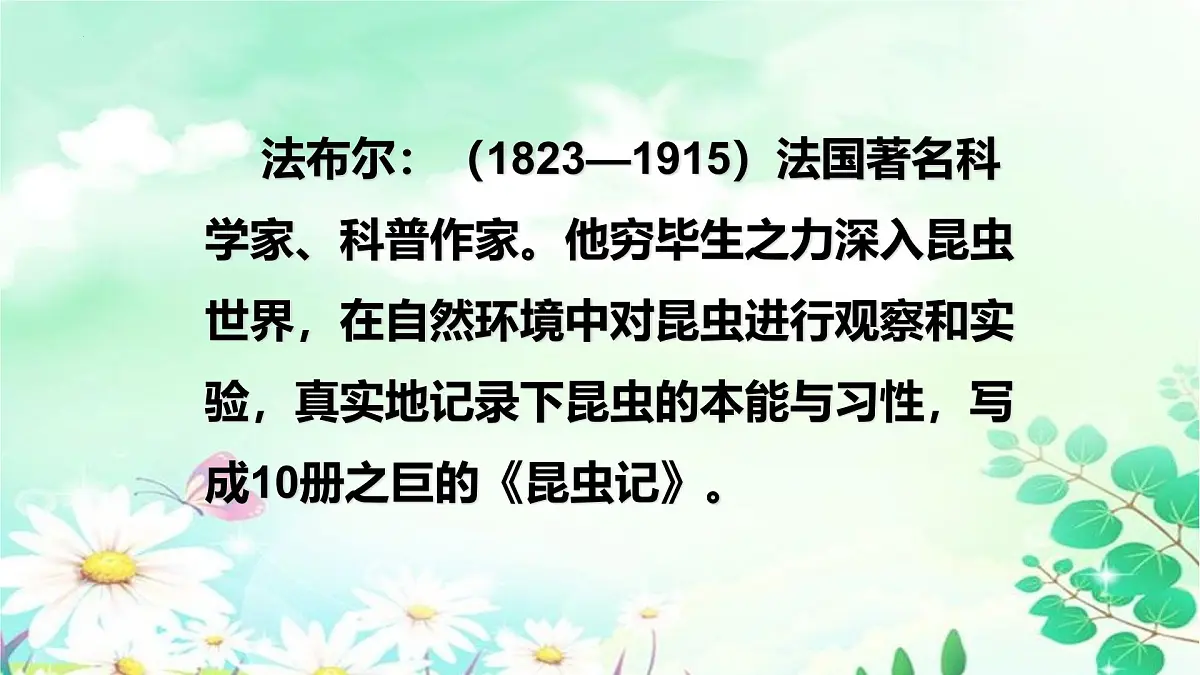 统编版（2024）三年级语文下册14蜜蜂ppt课件第2页