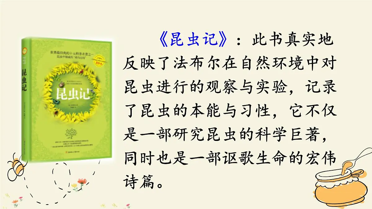统编版（2024）三年级语文下册14蜜蜂第1课时课件第4页