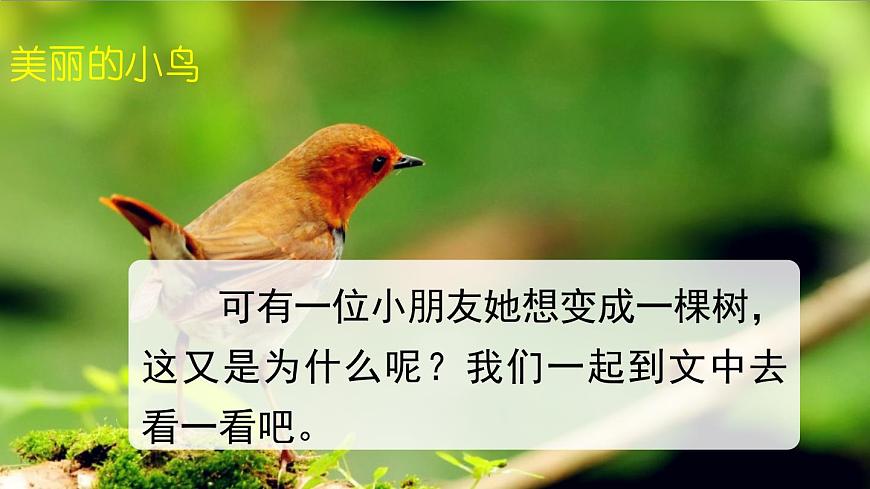 统编版（2024）三年级语文下册17我变成了一棵树第1课时课件第2页