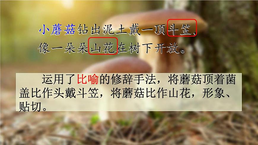 统编版（2024）三年级语文下册18童年的水墨画第2课时课件第7页