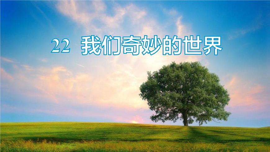 统编版（2024）三年级语文下册22我们奇妙的世界ppt课件第1页