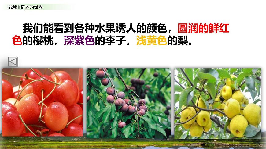 统编版（2024）三年级语文下册22我们奇妙的世界ppt课件第5页
