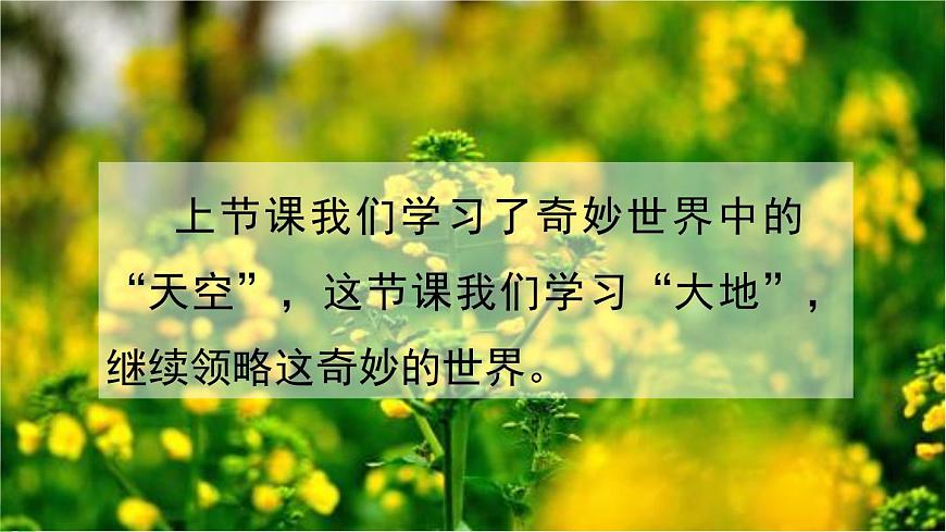 统编版（2024）三年级语文下册22我们奇妙的世界第2课时课件第2页