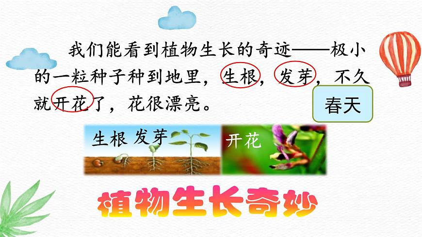 统编版（2024）三年级语文下册22我们奇妙的世界第2课时课件第5页