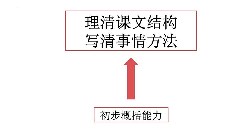 统编版（2024）三年级语文下册22我们奇妙的世界课件ppt第5页