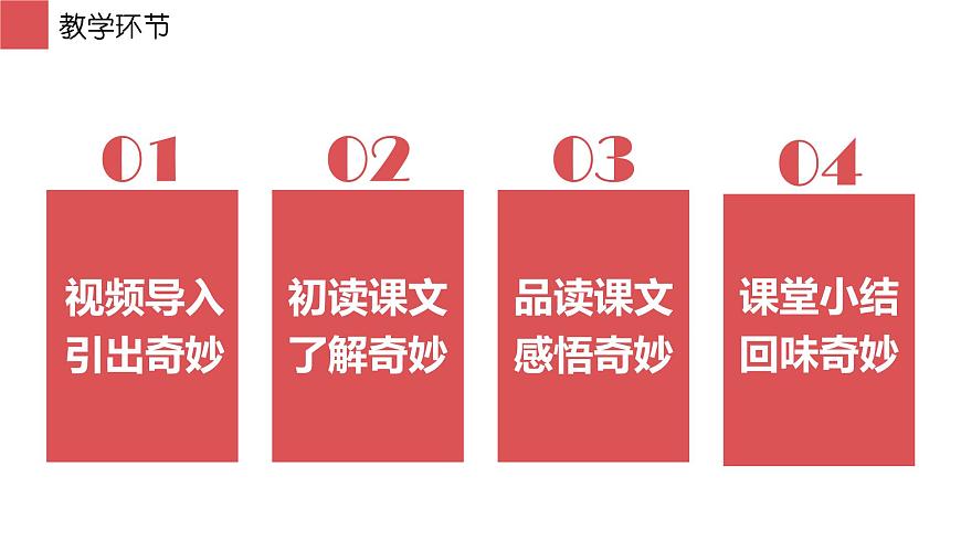 统编版（2024）三年级语文下册22我们奇妙的世界课件ppt第8页