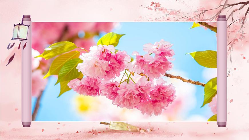 部编版2025秋六年级上册语文1.4《花之歌》 课件第2页