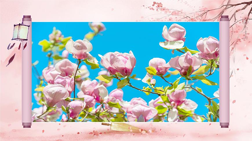 部编版2025秋六年级上册语文1.4《花之歌》 课件第3页