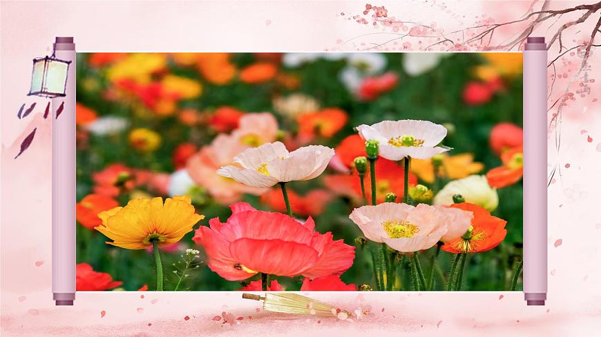 部编版2025秋六年级上册语文1.4《花之歌》 课件第4页