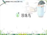 部編版小學語文五年級上冊第一單元4《珍珠鳥》課件（1課時）+教案（1課時）+課文朗讀（音頻）