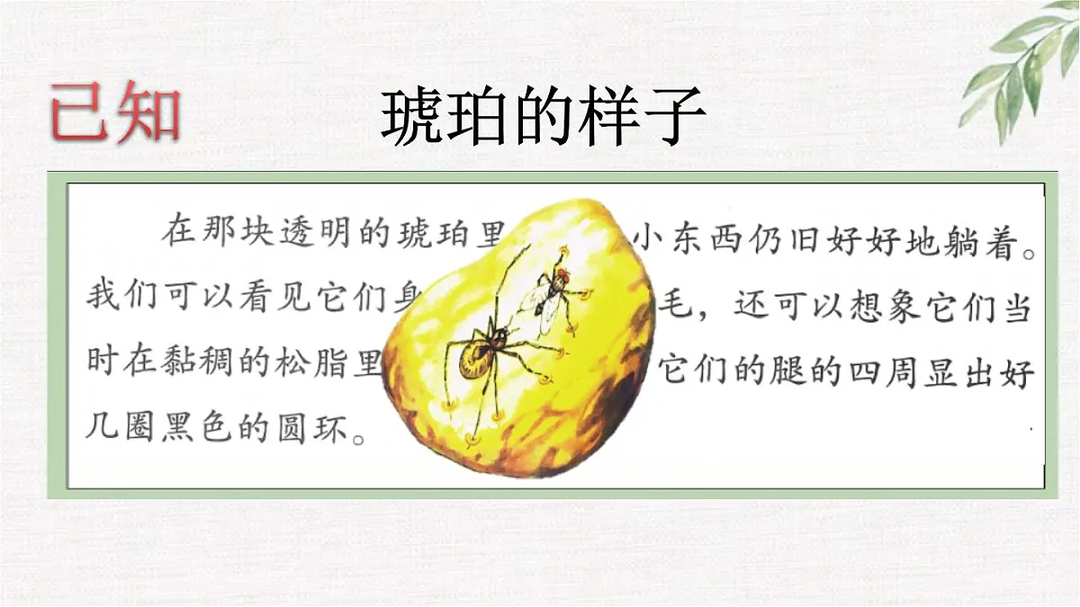 统编版（2024）四年级语文下册5琥珀第2课时课件第6页