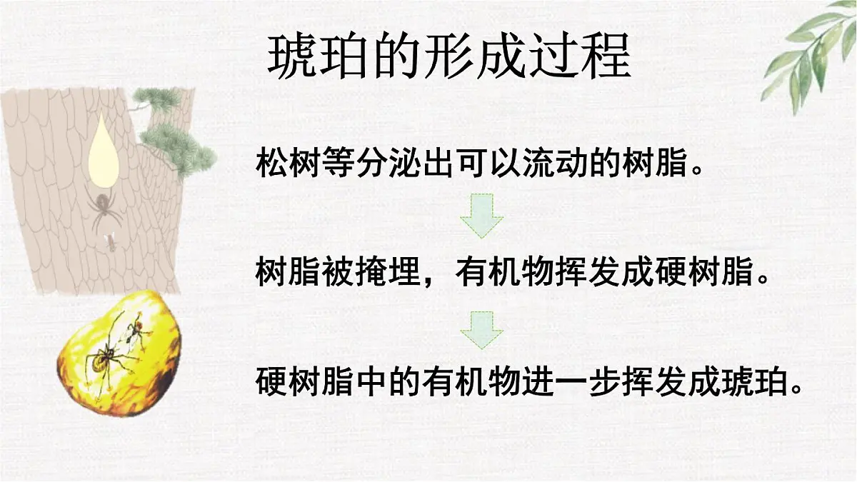 统编版（2024）四年级语文下册5琥珀第2课时课件第8页