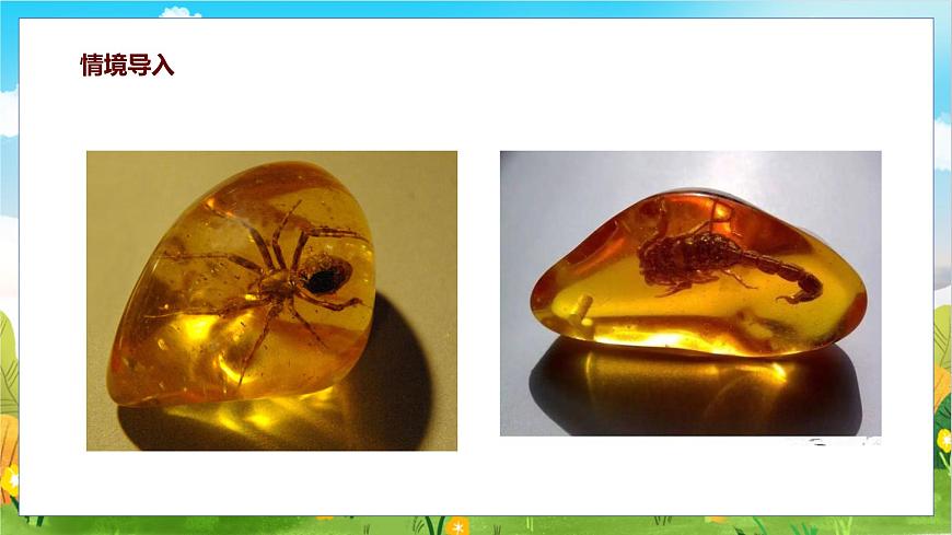 统编版（2024）四年级语文下册5琥珀课件ppt第3页