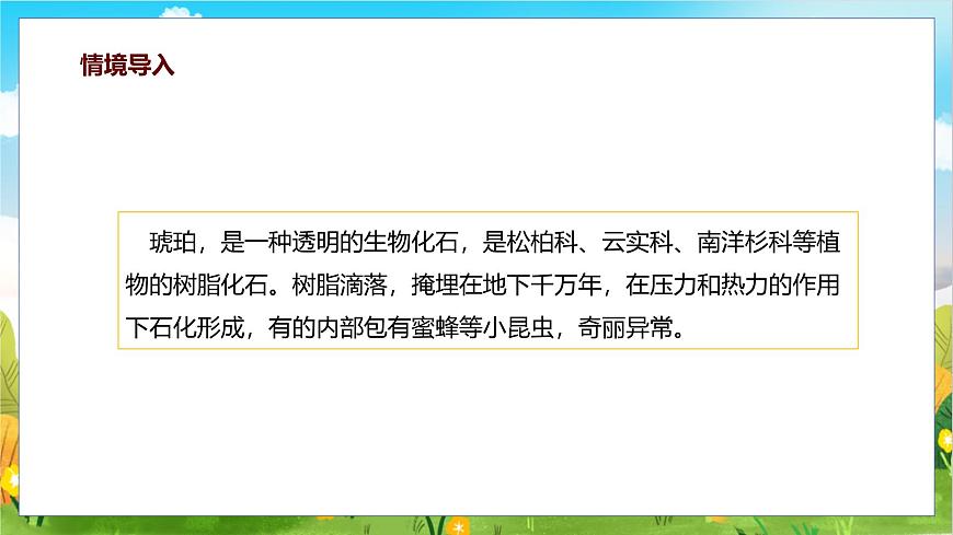 统编版（2024）四年级语文下册5琥珀课件ppt第4页