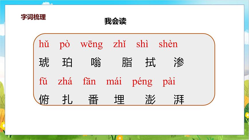 统编版（2024）四年级语文下册5琥珀课件ppt第7页