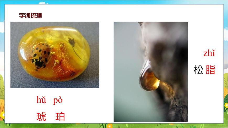 统编版（2024）四年级语文下册5琥珀课件ppt第8页