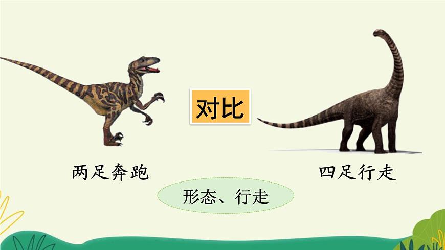 统编版（2024）四年级语文下册6飞向蓝天的恐龙第2课时课件第7页