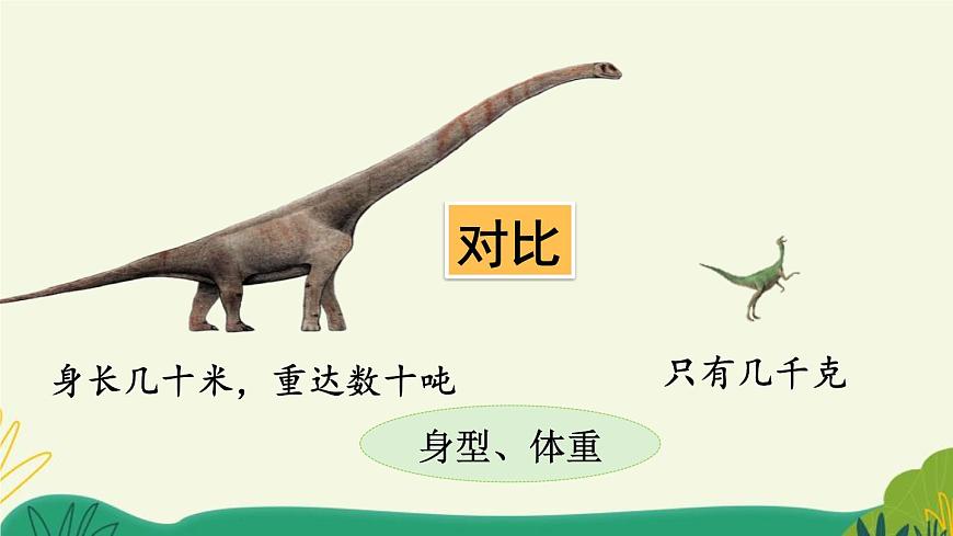 统编版（2024）四年级语文下册6飞向蓝天的恐龙第2课时课件第8页