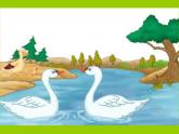 部编版小学语文四年级下册第四单元《白鹅》第二课时（优质公开课）教学设计+课件+视频