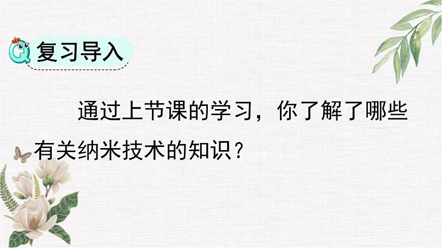 统编版（2024）四年级语文下册7纳米技术就在我们身边第2课时课件第2页