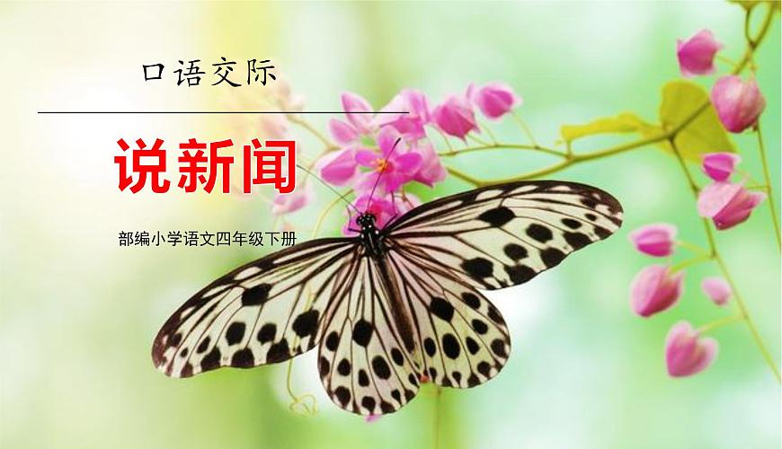 统编版（2024）四年级语文下学期第二单元口语交际：说新闻课件第1页