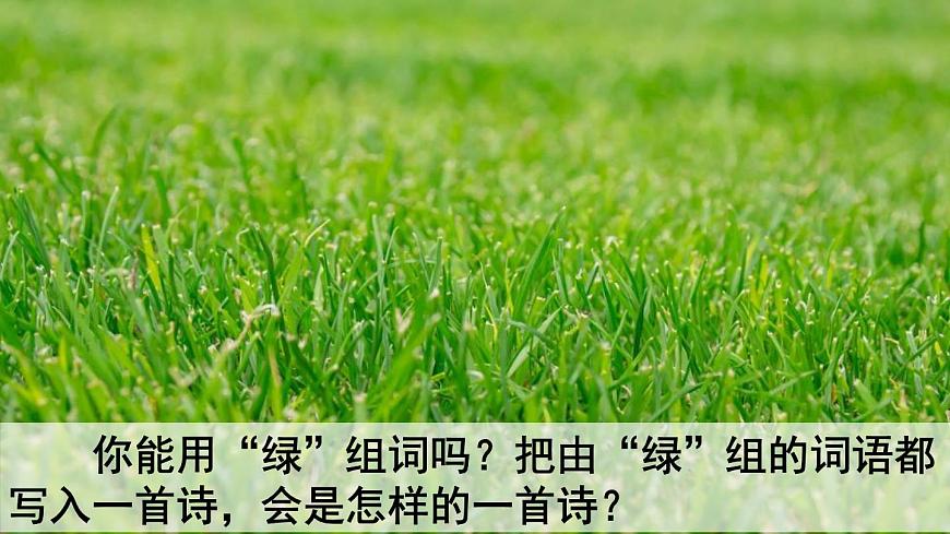 统编版（2024）四年级语文下册10绿第1课时课件第2页