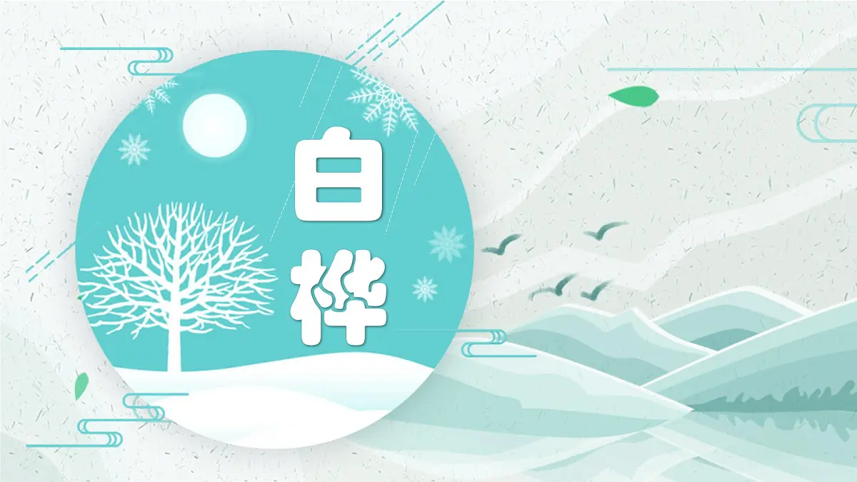 统编版（2024）四年级语文下册11白桦ppt课件第1页