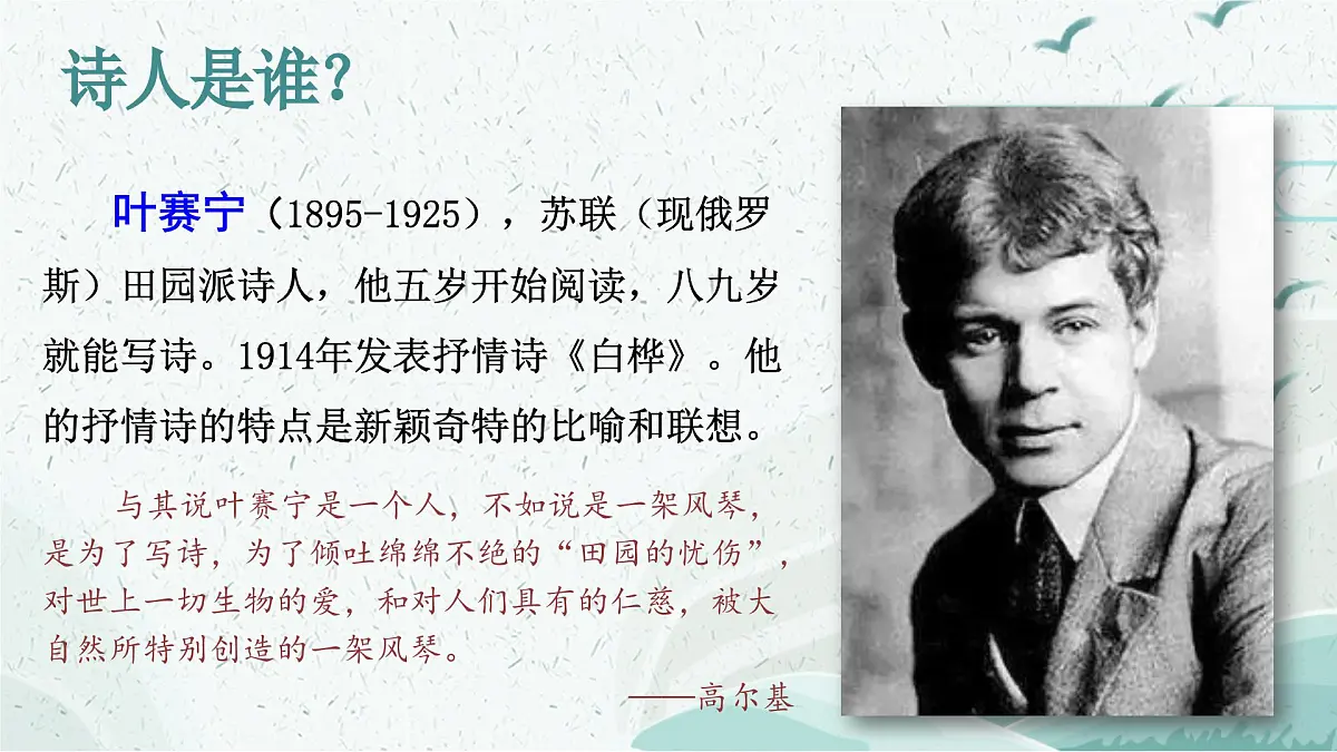 统编版（2024）四年级语文下册11白桦ppt课件第2页