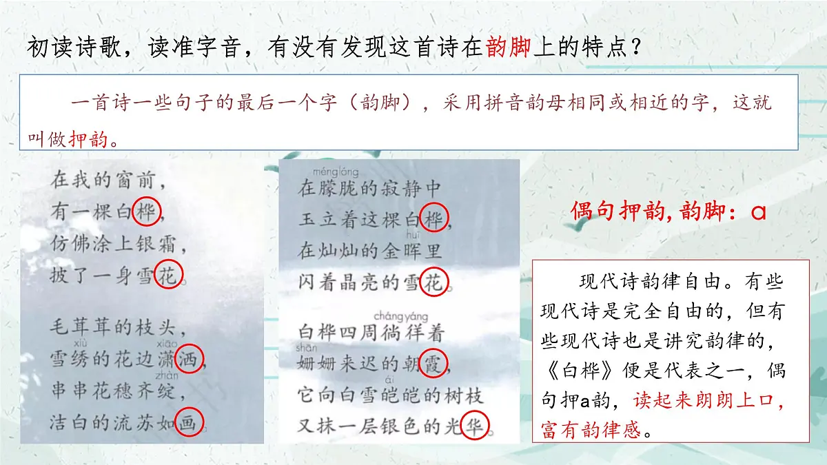 统编版（2024）四年级语文下册11白桦ppt课件第4页