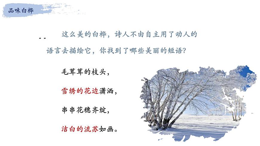 统编版（2024）四年级语文下册11白桦课件ppt第6页